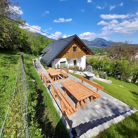Apartmaji Gorenc Bled Bagian luar foto