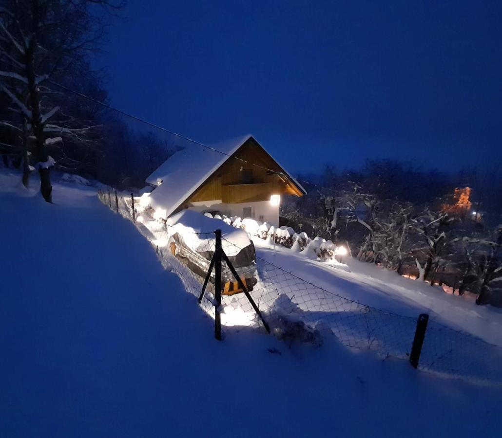 Apartmaji Gorenc Bled Bagian luar foto