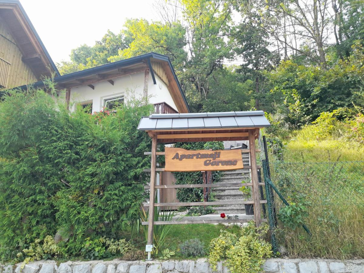 Apartmaji Gorenc Bled Bagian luar foto